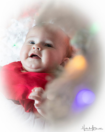 IMG_0450 copy