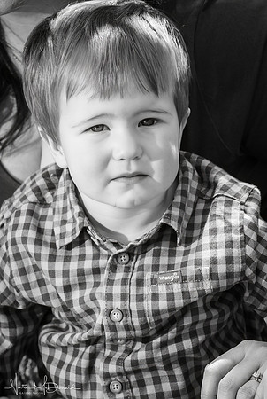 DSC03845 copy