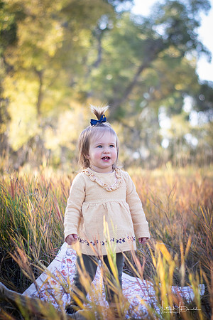 IMG_0095 copy