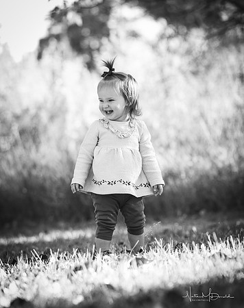 IMG_0352 copy