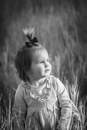 IMG_0397