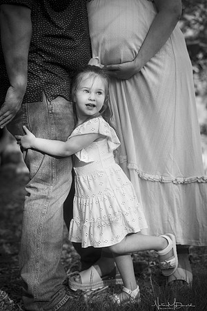DSC09921 copy