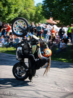 bustedknuckles2019