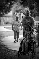 _DSC3138 copy